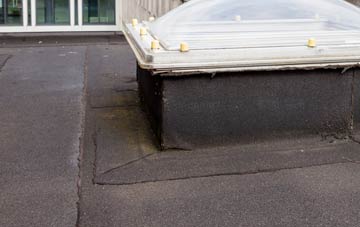 disadvantages of Authorpe Row flat roofs