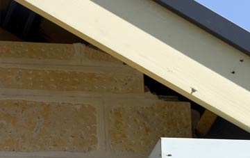 soffit repair Authorpe Row